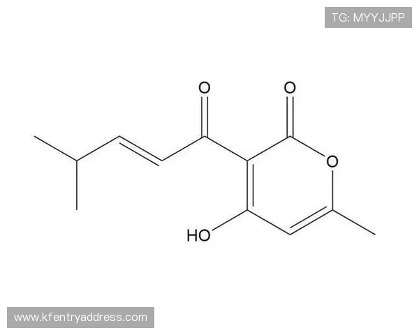 凯发k8娱乐安全可靠性分析，保障玩家资金与个人信息安全的最佳选择