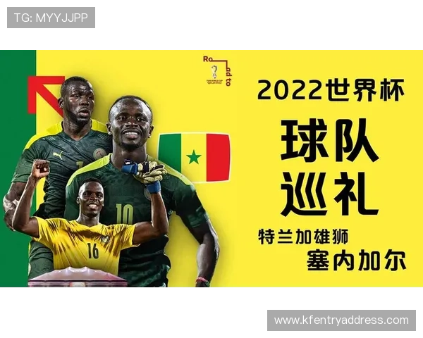 世界杯法国塞内加尔比赛门票价格变化趋势及提前购票优惠政策介绍